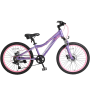 Подростковый велосипед 22" Tech Team Elis "11 (2021)