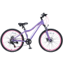 Подростковый велосипед 24" Tech Team Elis (2021)