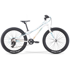 Подростковый велосипед 22" Merida Matts J24+ Eco Рама: One Size (2022)