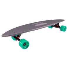 Скейтборд пластиковый Fishboard 31 TSL-409