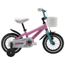 Детский велосипед J12 Merida Princess Pink /Blue