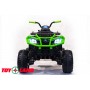 Квадроцикл 0909 Grizzly Next 4x4 черно-зеленый